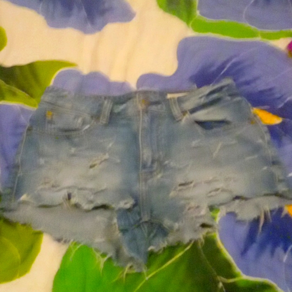 Pistola Jeans Denim Shorts Heavily Distressed 25